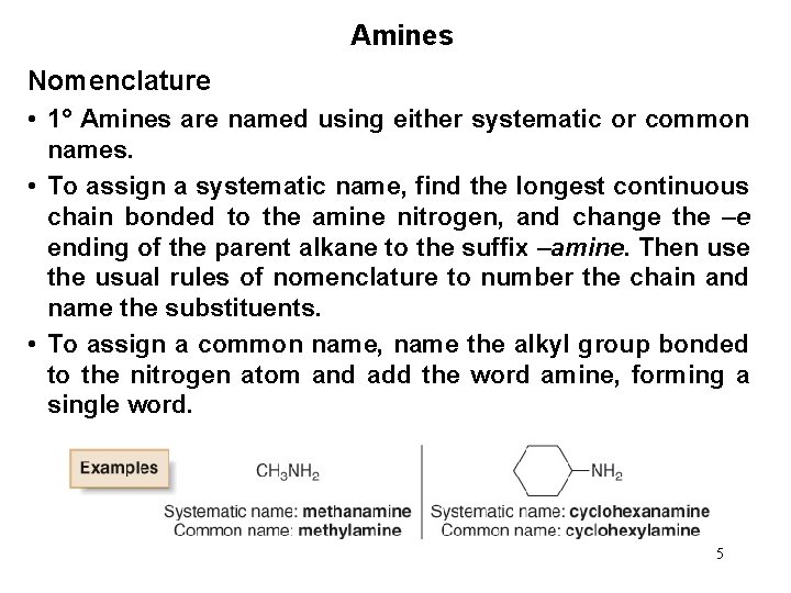 Amines Nomenclature • 1° Amines are named using either systematic or common names. •