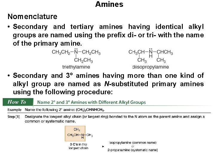 Amines Nomenclature • Secondary and tertiary amines having identical alkyl groups are named using