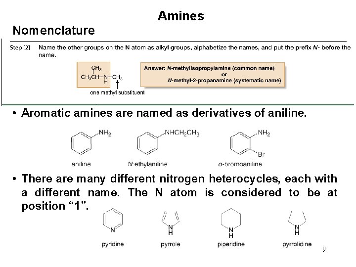 Amines Nomenclature • Aromatic amines are named as derivatives of aniline. • There are