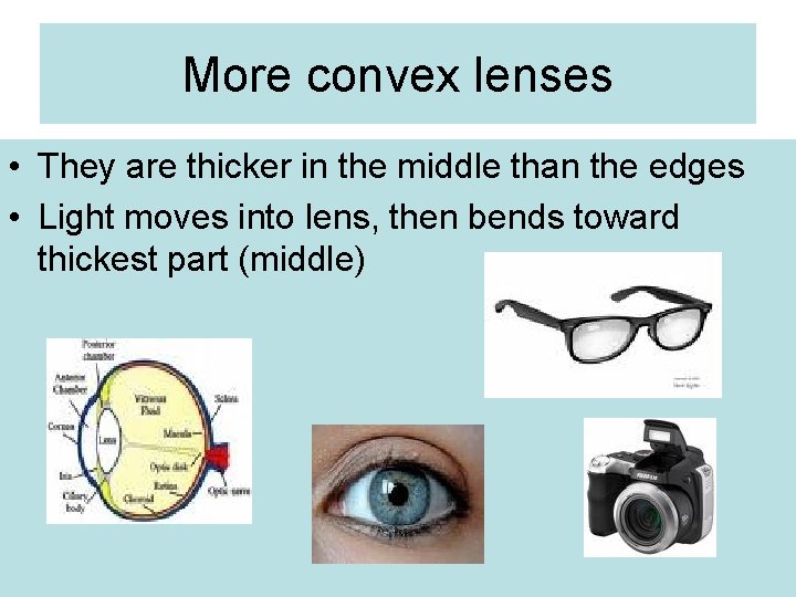 More convex lenses • They are thicker in the middle than the edges •
