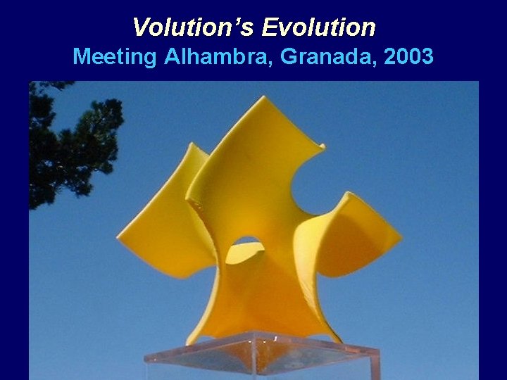 Volution’s Evolution Meeting Alhambra, Granada, 2003 