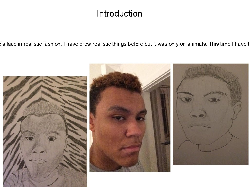 Introduction e’s face in realistic fashion. I have drew realistic things before but it