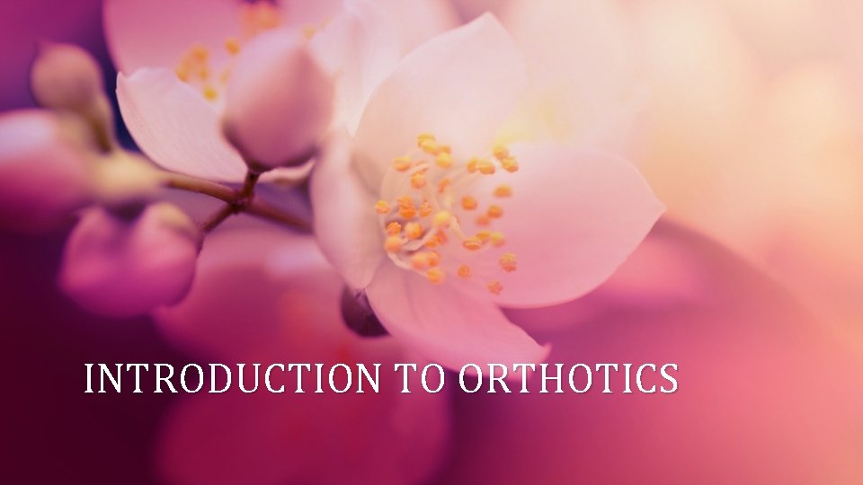INTRODUCTION TO ORTHOTICS 