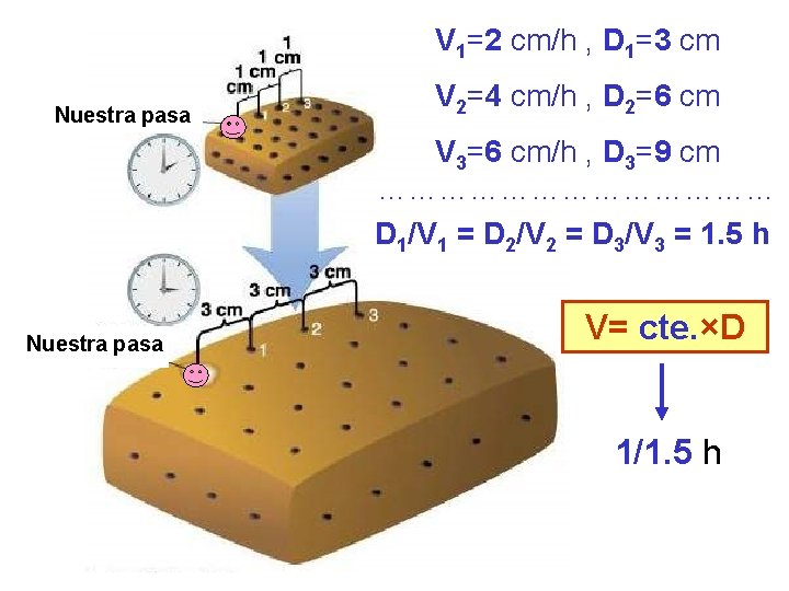 V 1=2 cm/h , D 1=3 cm Nuestra pasa V 2=4 cm/h , D