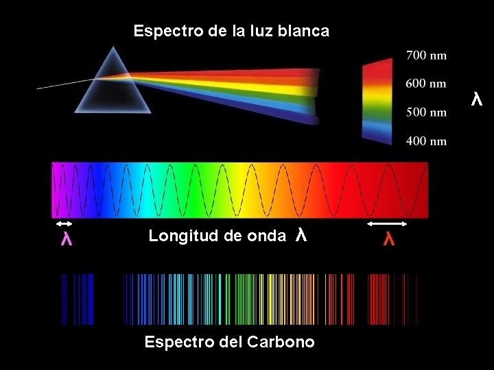 Espectro de la luz blanca λ λ Longitud de onda λ Espectro del Carbono