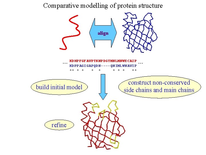 Comparative modelling of protein structure align … KDHPFGFAVPTKNPDGTMNLMNWECAIP KDPPAGIGAPQDN----QNIMLWNAVIP ** * * * **