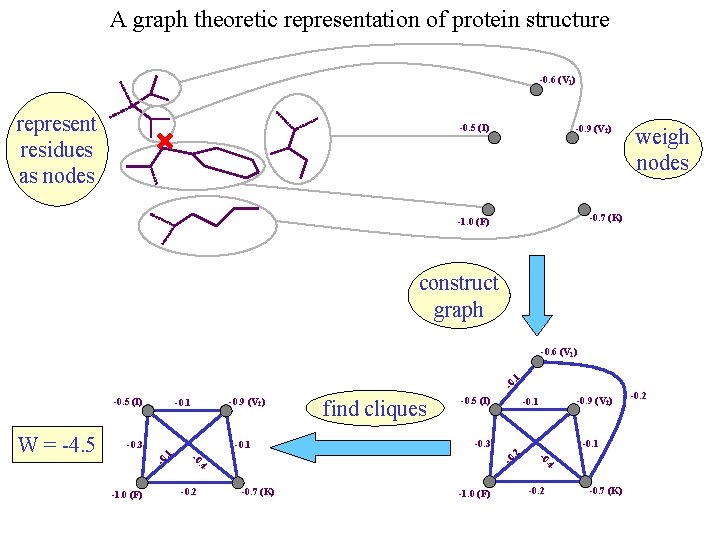 A graph theoretic representation of protein structure -0. 6 (V 1) represent residues as