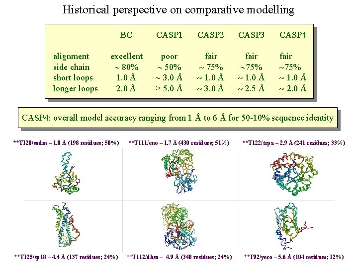 Historical perspective on comparative modelling alignment side chain short loops longer loops BC CASP