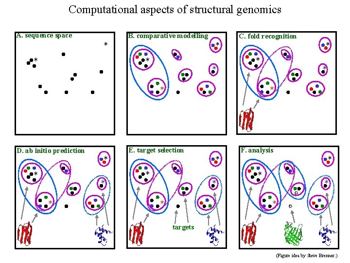 Computational aspects of structural genomics A. sequence space B. comparative modelling * * C.