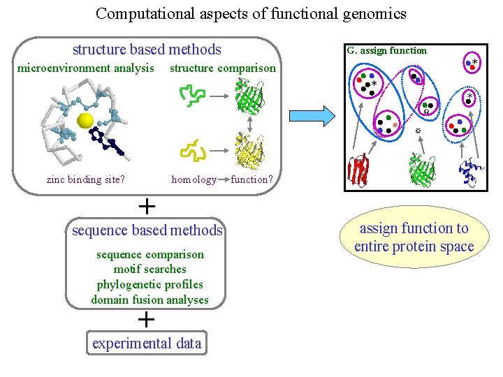 Computational aspects of functional genomics structure based methods microenvironment analysis G. assign function *