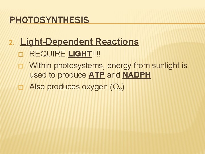 PHOTOSYNTHESIS 2. Light-Dependent Reactions � � � REQUIRE LIGHT!!!! Within photosystems, energy from sunlight