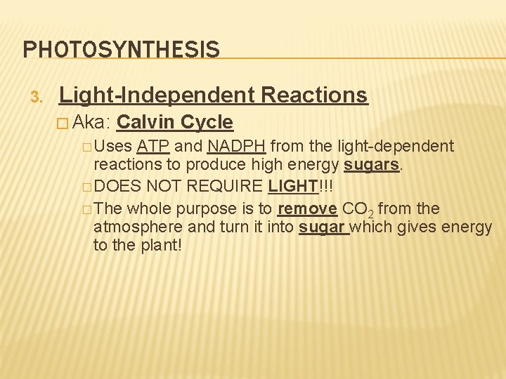 PHOTOSYNTHESIS 3. Light-Independent Reactions � Aka: Calvin Cycle � Uses ATP and NADPH from