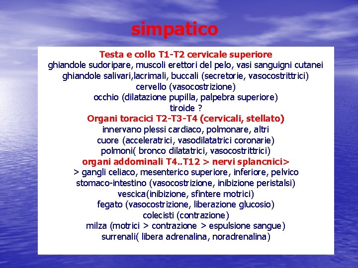 simpatico Testa e collo T 1 -T 2 cervicale superiore ghiandole sudoripare, muscoli erettori