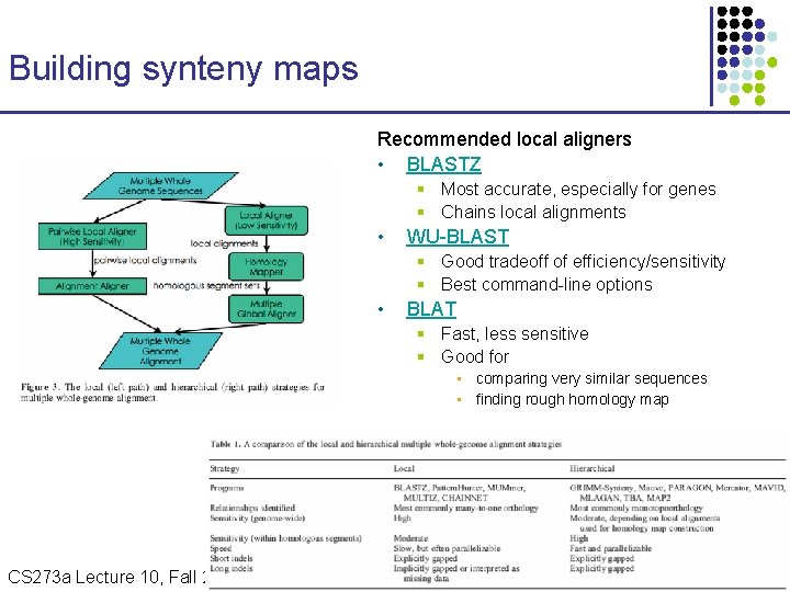 Building synteny maps Recommended local aligners • BLASTZ § Most accurate, especially for genes