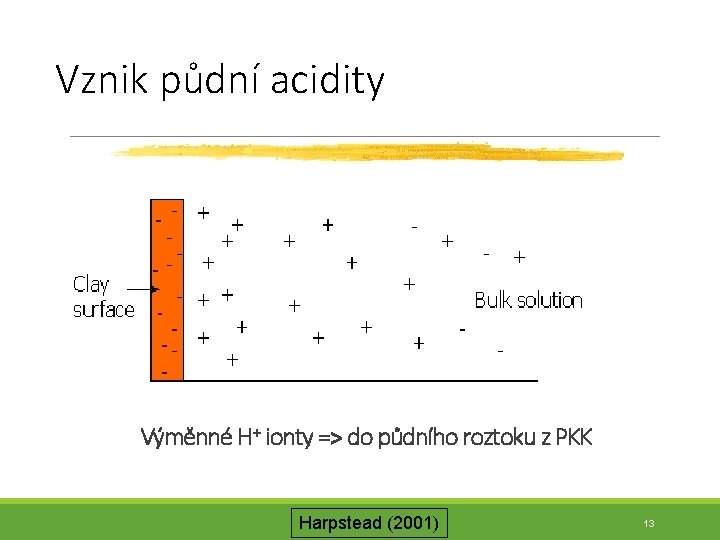 Vznik půdní acidity Výměnné H+ ionty => do půdního roztoku z PKK Harpstead (2001)