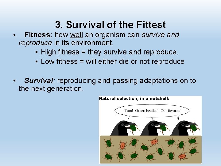 3. Survival of the Fittest • Fitness: how well an organism can survive and