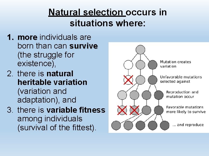 Natural selection occurs in situations where: 1. more individuals are born than can survive