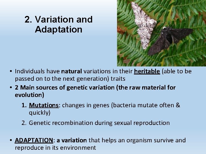 2. Variation and Adaptation • Individuals have natural variations in their heritable (able to