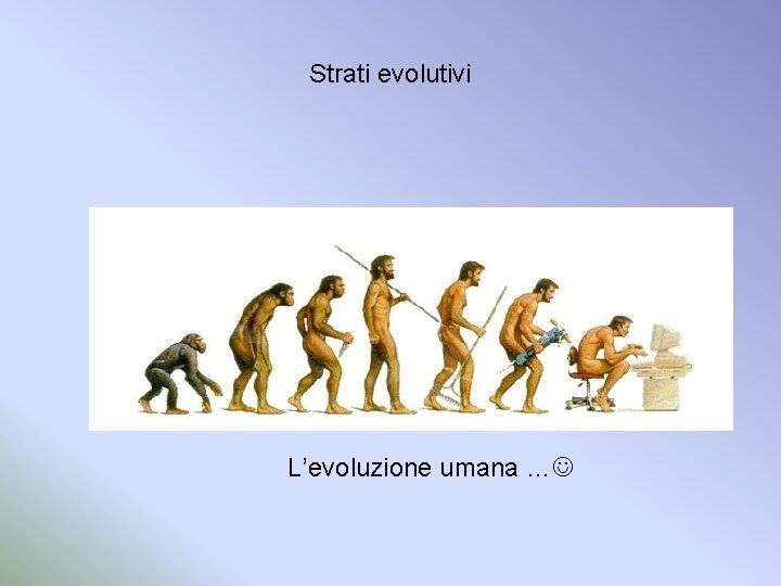 Strati evolutivi L’evoluzione umana … 