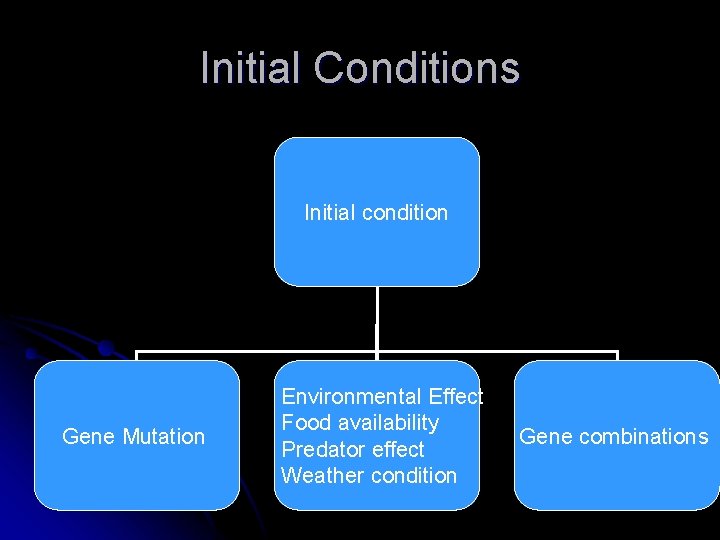 Initial Conditions Initial condition Gene Mutation Environmental Effect Food availability Predator effect Weather condition