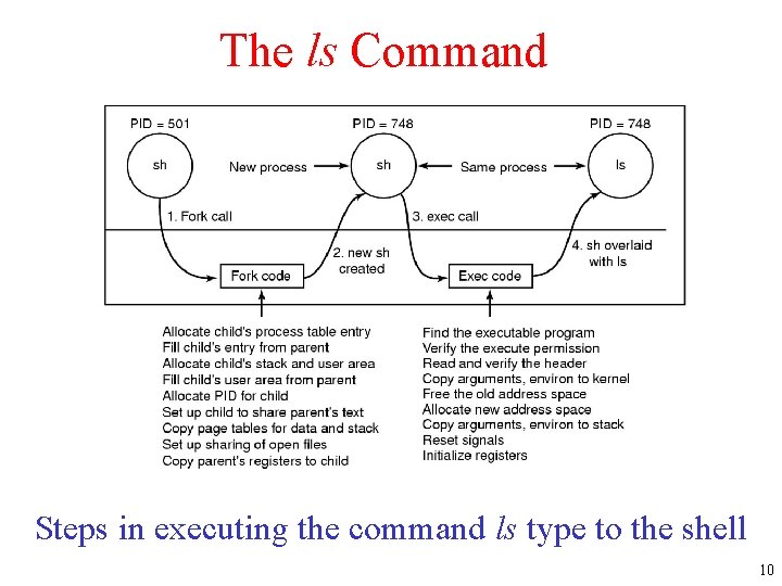 The ls Command Steps in executing the command ls type to the shell 10