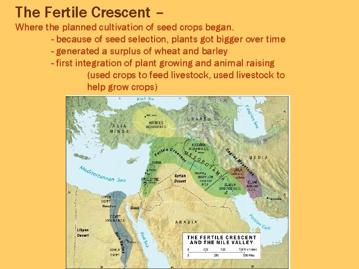 The Fertile Crescent – Where the planned cultivation of seed crops began. - because