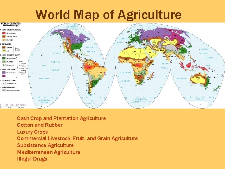 World Map of Agriculture Cash Crop and Plantation Agriculture Cotton and Rubber Luxury Crops