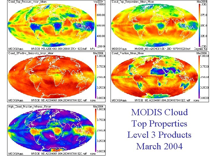 MODIS Cloud Top Properties Level 3 Products March 2004 