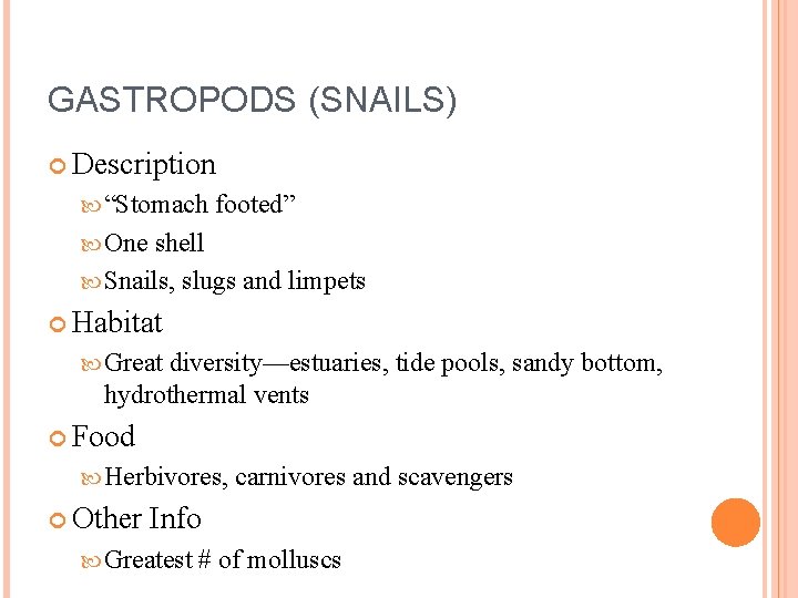 MOLLUSC CHART Marine Studies GASTROPODS SNAILS Description Stomach