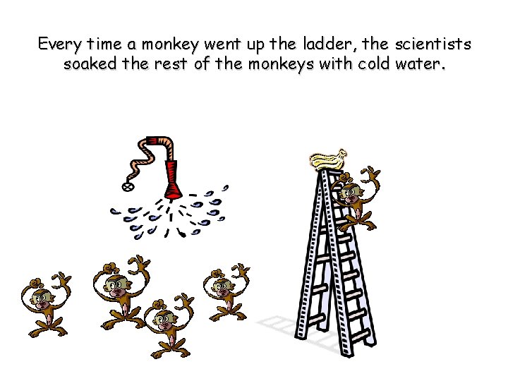 Every time a monkey went up the ladder, the scientists soaked the rest of