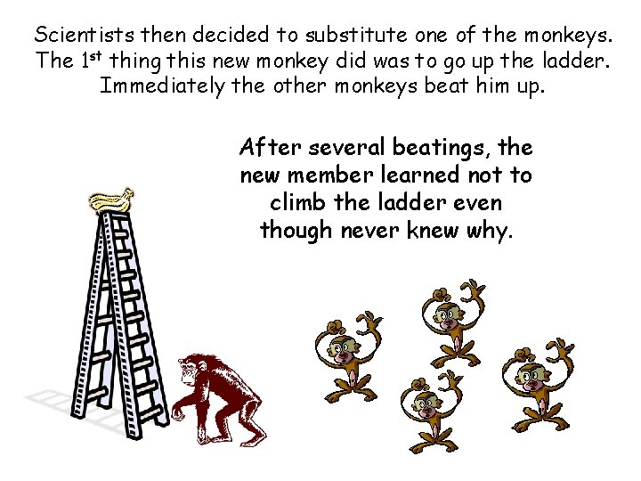 Scientists then decided to substitute one of the monkeys. The 1 st thing this