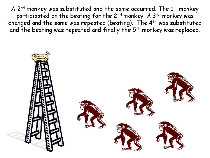 A 2 nd monkey was substituted and the same occurred. The 1 st monkey