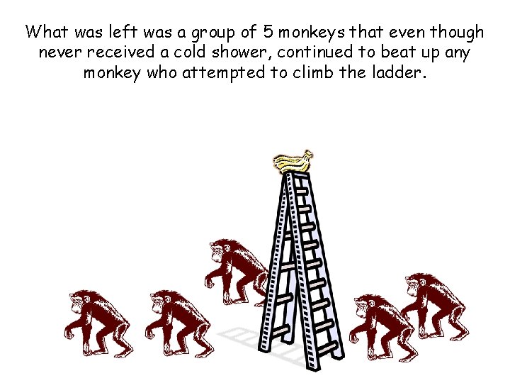 What was left was a group of 5 monkeys that even though never received