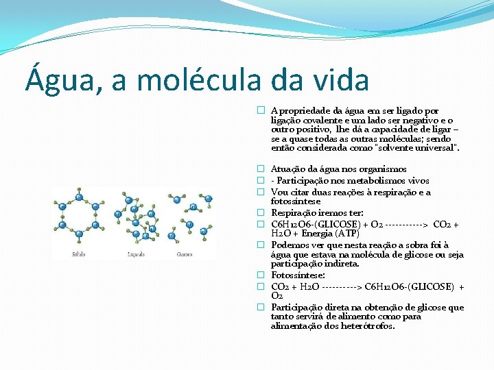 Água, a molécula da vida � A propriedade da água em ser ligado por