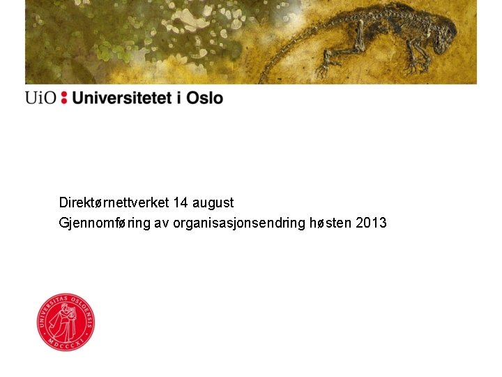 Direktørnettverket 14 august Gjennomføring av organisasjonsendring høsten 2013 