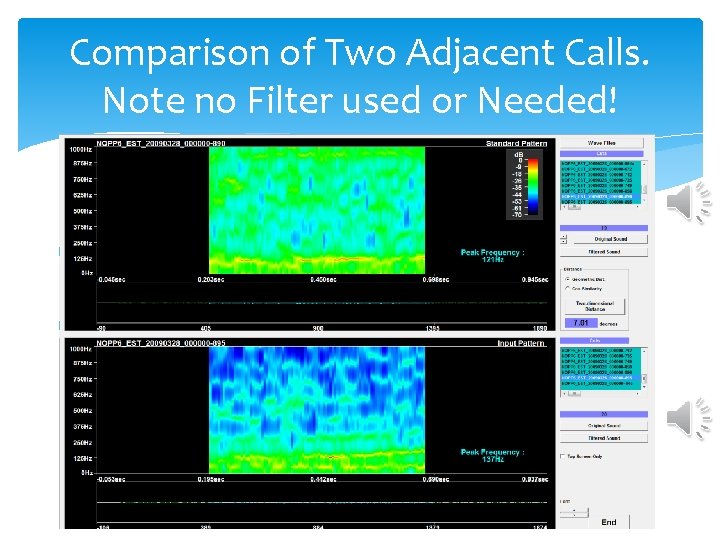 Comparison of Two Adjacent Calls. Note no Filter used or Needed! Comparison of Two Adjacent Calls. Note no Filter used or Needed!