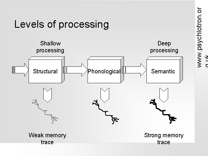 Shallow processing Structural Weak memory trace Deep processing Phonological Semantic Strong memory trace www.