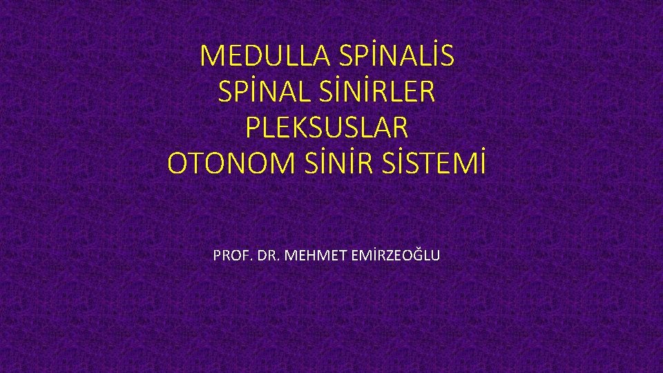 MEDULLA SPİNALİS SPİNAL SİNİRLER PLEKSUSLAR OTONOM SİNİR SİSTEMİ PROF. DR. MEHMET EMİRZEOĞLU 