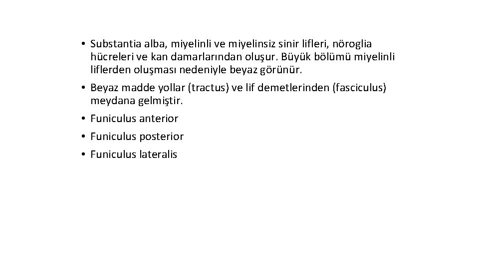  • Substantia alba, miyelinli ve miyelinsiz sinir lifleri, nöroglia hücreleri ve kan damarlarından