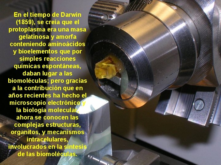 En el tiempo de Darwin (1859), se creía que el protoplasma era una masa