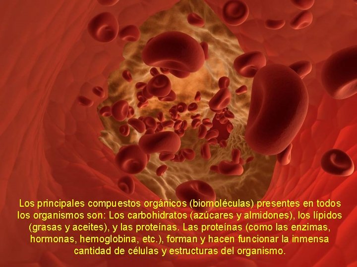 Los principales compuestos orgánicos (biomoléculas) presentes en todos los organismos son: Los carbohidratos (azúcares