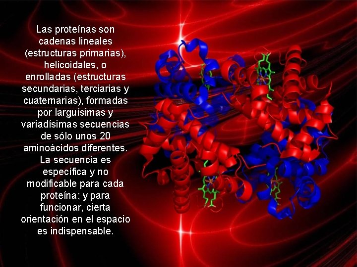 Las proteínas son cadenas lineales (estructuras primarias), helicoidales, o enrolladas (estructuras secundarias, terciarias y