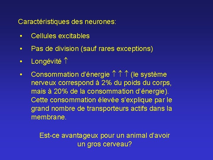 Caractéristiques des neurones: • Cellules excitables • Pas de division (sauf rares exceptions) •