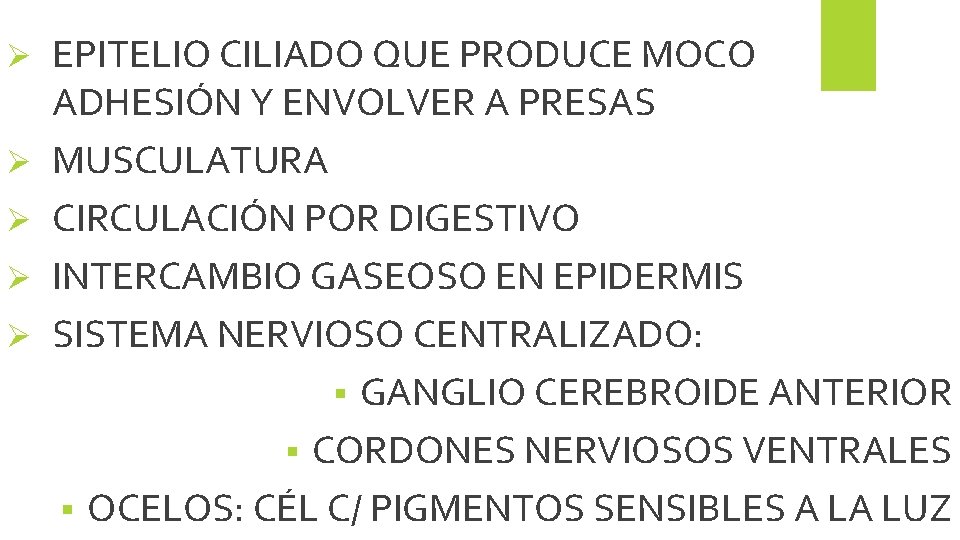 Ø Ø Ø EPITELIO CILIADO QUE PRODUCE MOCO ADHESIÓN Y ENVOLVER A PRESAS MUSCULATURA