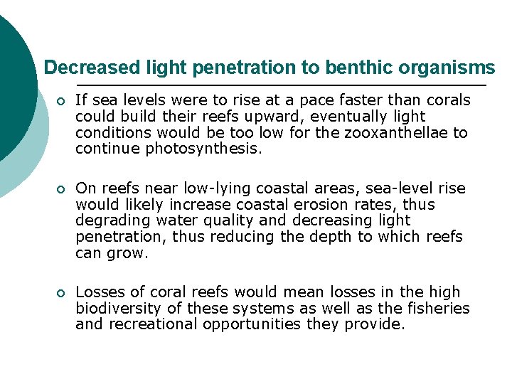 Decreased light penetration to benthic organisms ¡ If sea levels were to rise at