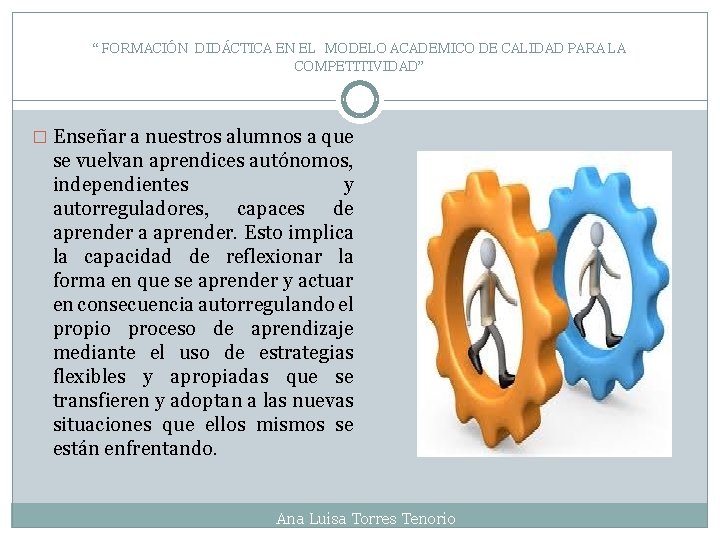 FORMACIN DIDCTICA EN EL MODELO ACADEMICO DE CALIDAD