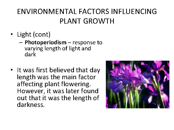 ENVIRONMENTAL FACTORS INFLUENCING PLANT GROWTH • Light (cont) – Photoperiodism – response to varying ENVIRONMENTAL FACTORS INFLUENCING PLANT GROWTH • Light (cont) – Photoperiodism – response to varying