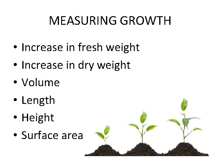 MEASURING GROWTH • • • Increase in fresh weight Increase in dry weight Volume MEASURING GROWTH • • • Increase in fresh weight Increase in dry weight Volume
