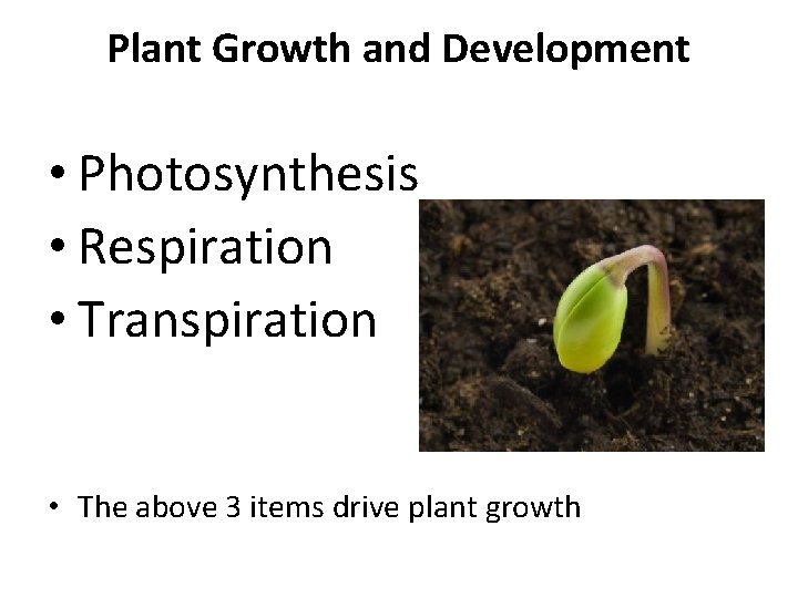 Plant Growth and Development • Photosynthesis • Respiration • Transpiration • The above 3 Plant Growth and Development • Photosynthesis • Respiration • Transpiration • The above 3
