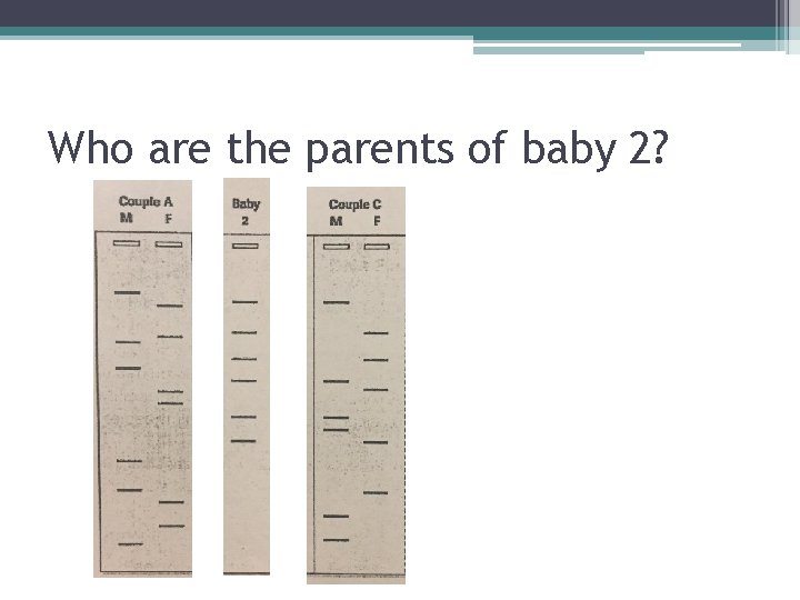 Who are the parents of baby 2? 
